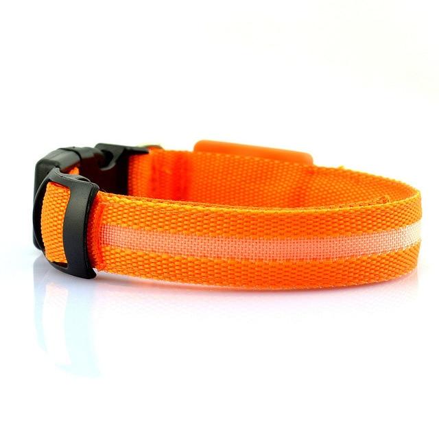 Glow Mode – USB Rechargeable LED Dog Collar (5 Sizes)
