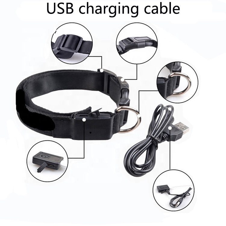 Glow Mode – USB Rechargeable LED Dog Collar (5 Sizes)
