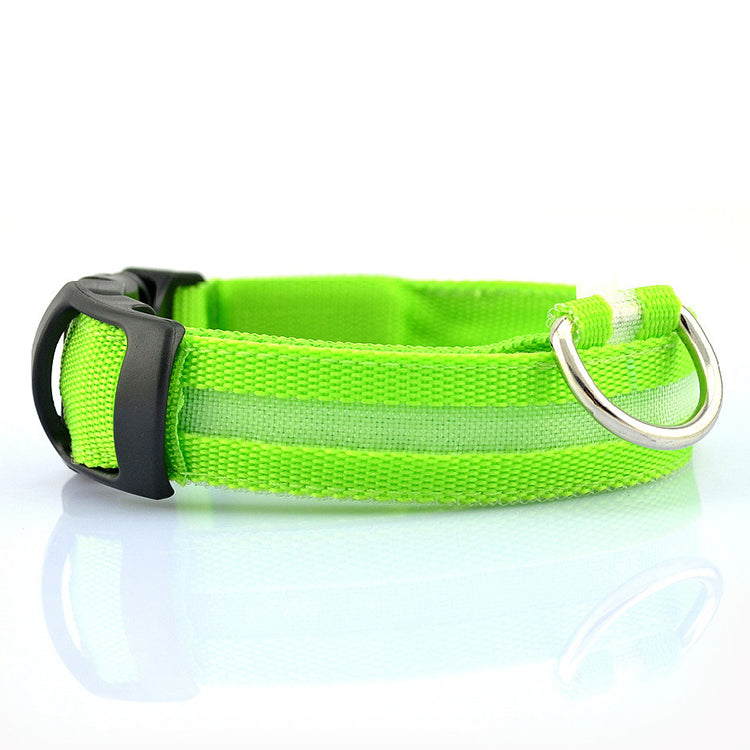 Glow Mode – USB Rechargeable LED Dog Collar (5 Sizes)