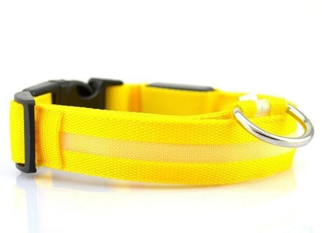 Glow Mode – USB Rechargeable LED Dog Collar (5 Sizes)