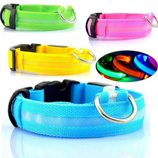 Glow Mode – USB Rechargeable LED Dog Collar (5 Sizes)